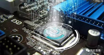 物联万物，智算未来 物联网与量子计算如何重塑人类生活